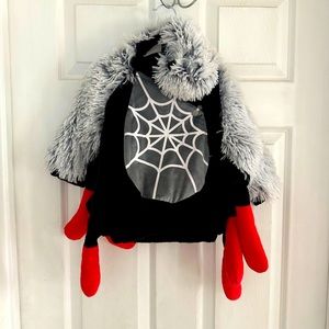 Halloween spider costume